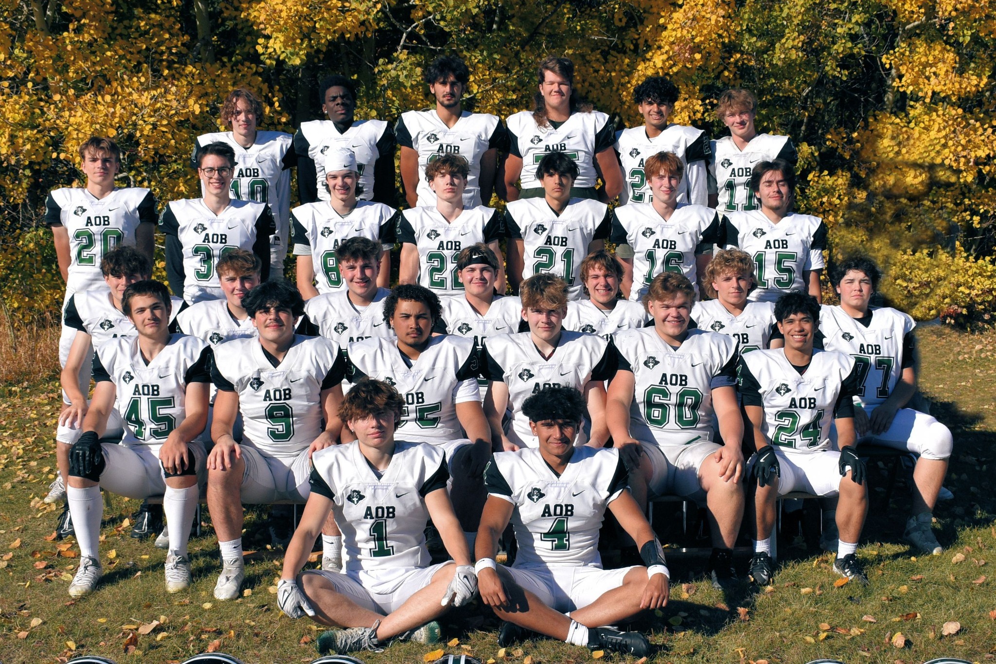 00 A03 4624e cropped no sh